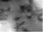 Digital Terrain Model visualization