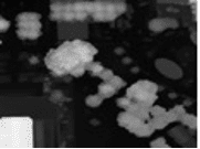 Digital Surface Model visualization