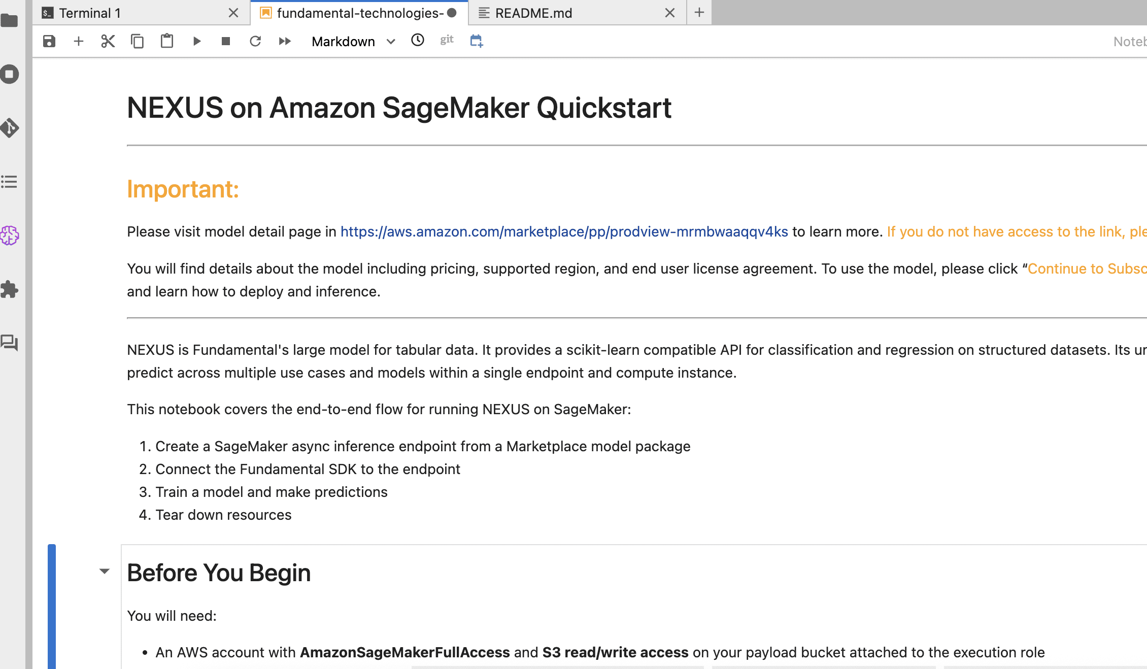 Amazon SageMaker JumpStart model details page for Fundamental NEXUS, showing model description and deployment options.