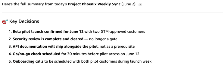 Assistant follow-up response summarizing the meeting and key decisions