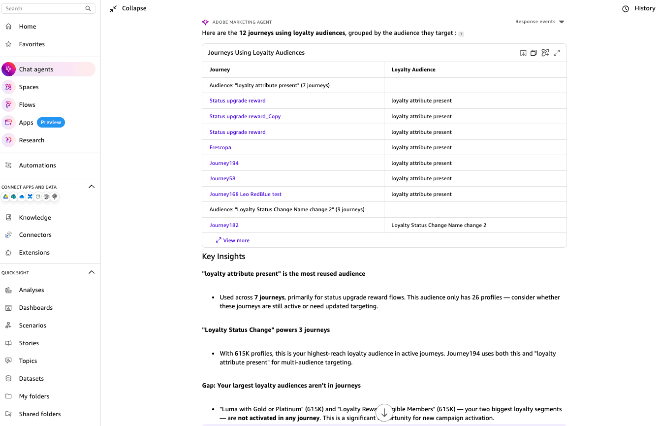 Table of journeys referencing loyalty audiences with audience name, loyalty attribute, and pattern analysis