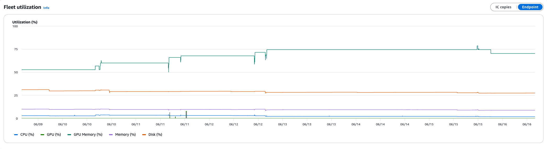 Fleet utilization time series showing GPU, GPU memory, CPU, memory, and disk consumption with Instance, IC copies, and Endpoint toggles