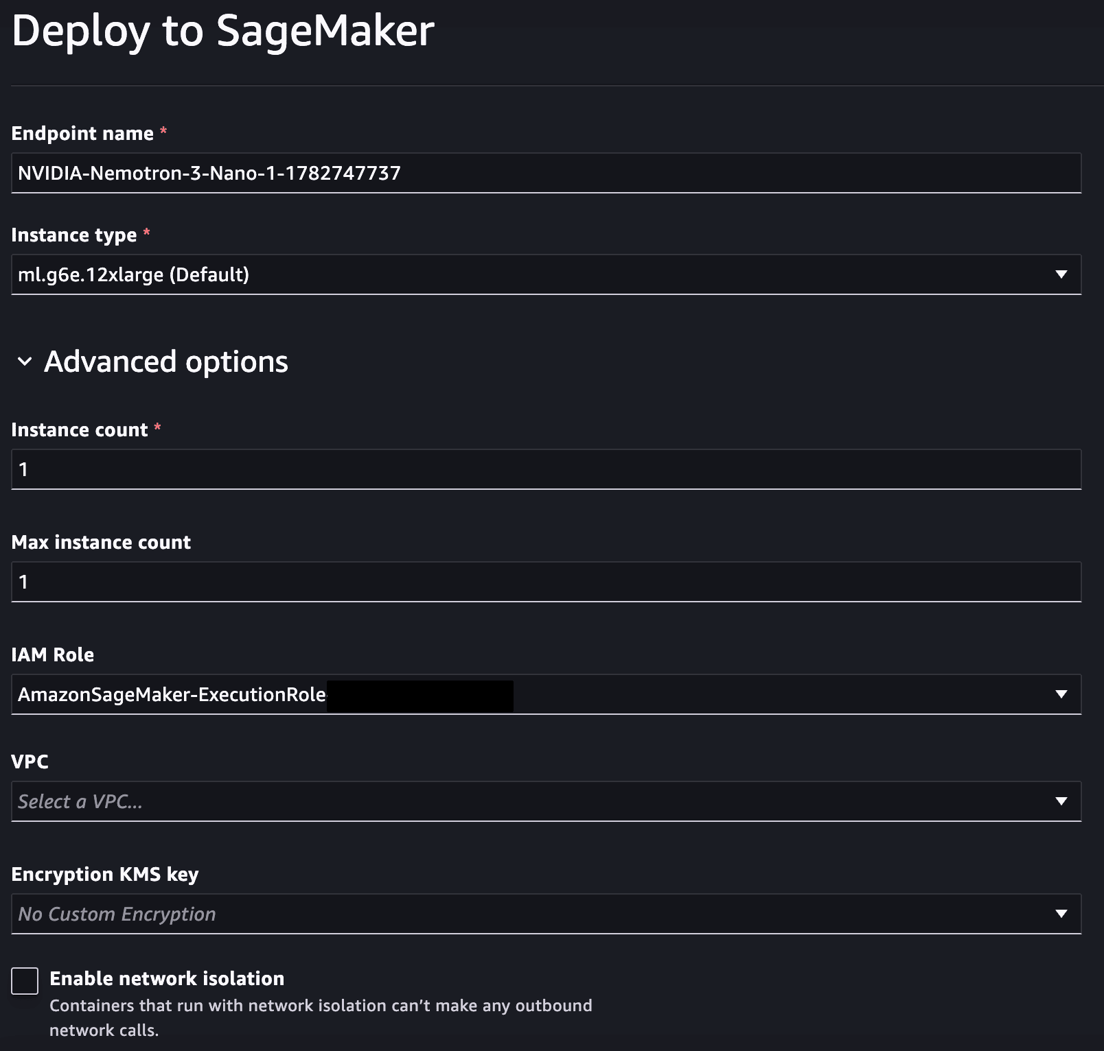 Deployment configuration for the fine-tuned Nemotron Nano 30B model on an ml.g6e instance